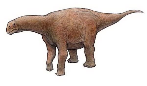 Nurosaurus https68mediatumblrcom1cd1fa7bc098b8a631f766