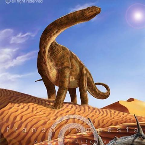 Nurosaurus christian reno christianreno01 Instagram photos and videos