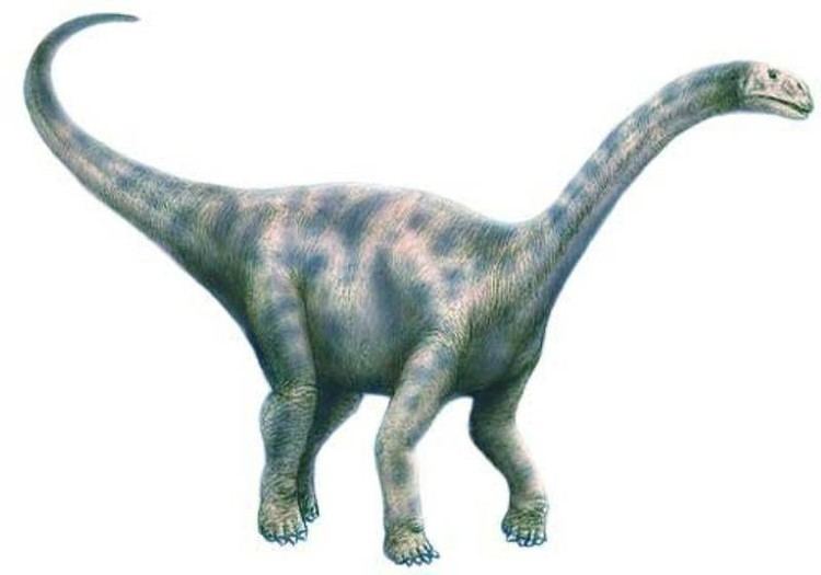 Nurosaurus Nurosaurus Pictures amp Facts The Dinosaur Database