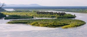 Nushagak River httpsuploadwikimediaorgwikipediacommons66
