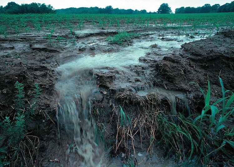 Nutrient pollution