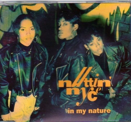Nuttin' Nyce Rare and Obscure Music Nuttin39 Nyce