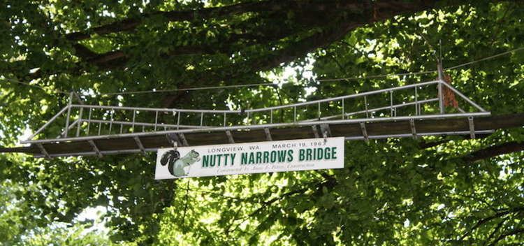 Nutty Narrows Bridge Nutty Narrows Bridge Longview Roadtrippers