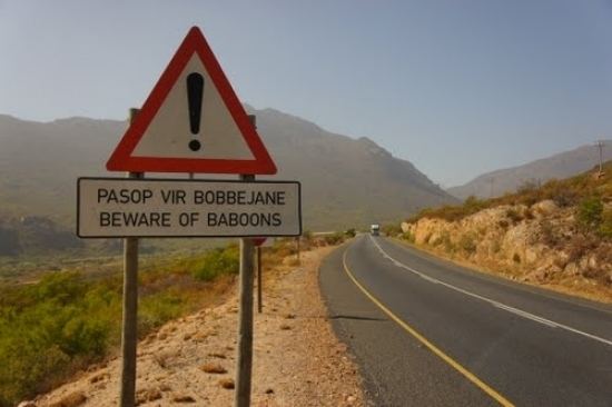 Nuwekloof Pass (Western Cape) mountainpassessouthafricacozamediak2itemscac