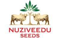 Nuziveedu Seeds wwwibeforguploadsindustrynuziveeduseedslogopng