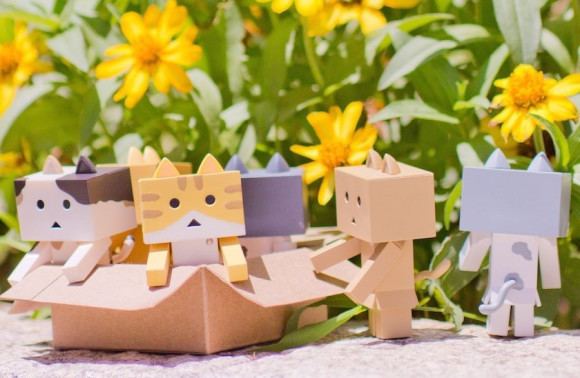 Nyanbo! New anime features Nyanbo the adorable boxshaped cardboard cat