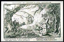 Nyctimene (mythology) httpsuploadwikimediaorgwikipediacommonsthu