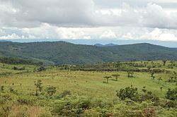 Nyika National Park, Zambia httpsuploadwikimediaorgwikipediacommonsthu