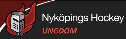 Nyköpings Hockey httpswwwsvenskalagseteamdataimages9123165