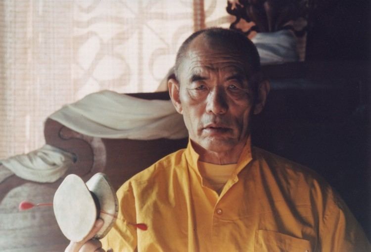 Nyoshul Khenpo Rinpoche BIG VAST OPEN MIND LEVEKUNST art of life