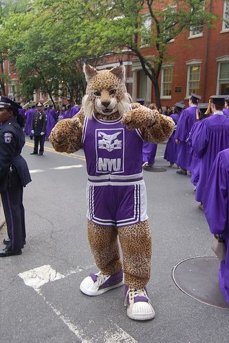 NYU Violets Battle of the Mascots NYU Violet vs Pearl the Squirrel