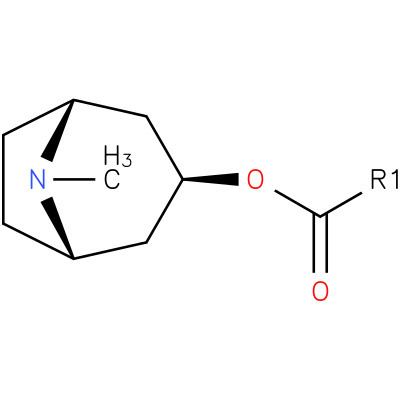 O-acylpseudotropine