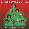 O Christmas Bush httpsuploadwikimediaorgwikipediaen223OCh
