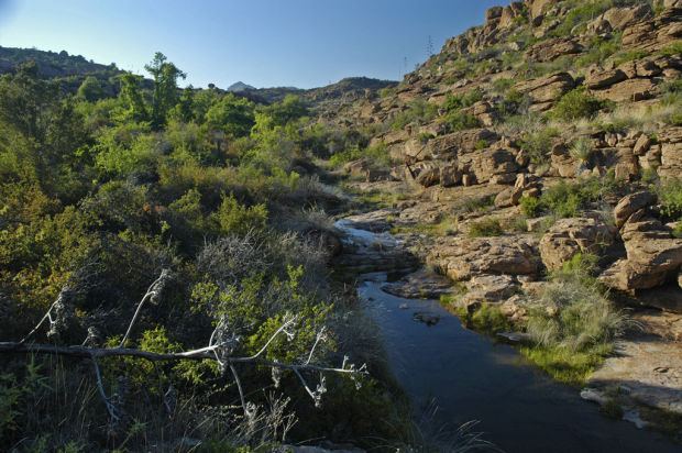 Oak Flat (Arizona) Massive mine proposed at Oak Flat sacred tribal land Tucson