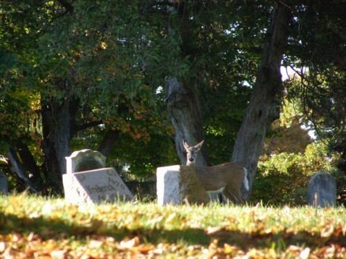 Oakwood Cemetery (Troy, New York) wwwgraveaddictioncomowoodnyowoodny92jpg