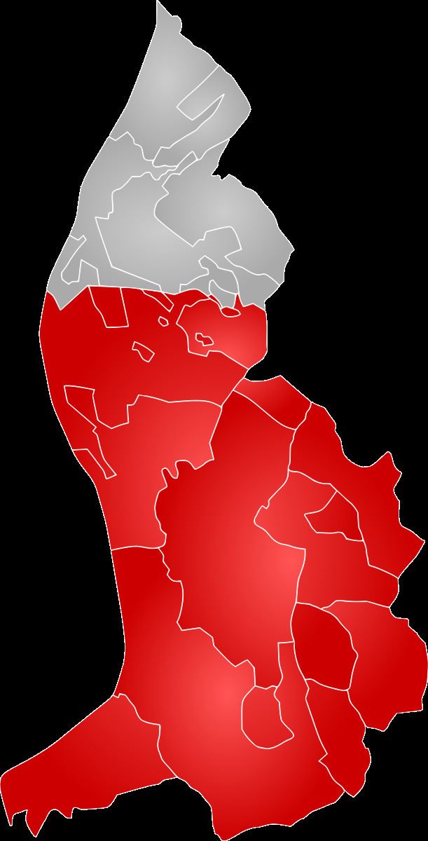 Oberland (electoral district)