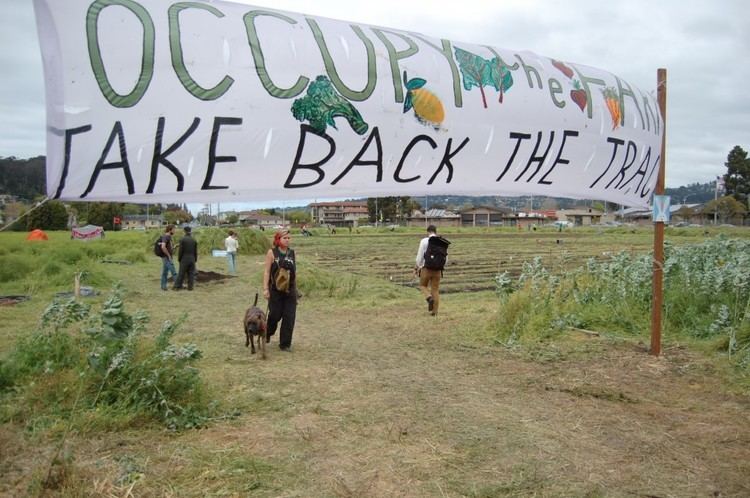 Occupy the Farm Gill Tract Archives Berkeleyside
