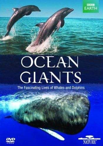 Ocean Giants httpsimagesnasslimagesamazoncomimagesI5