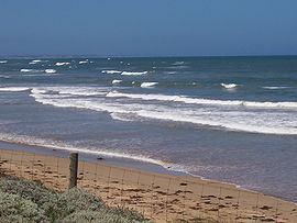 Ocean Grove, Victoria httpsuploadwikimediaorgwikipediacommonsthu