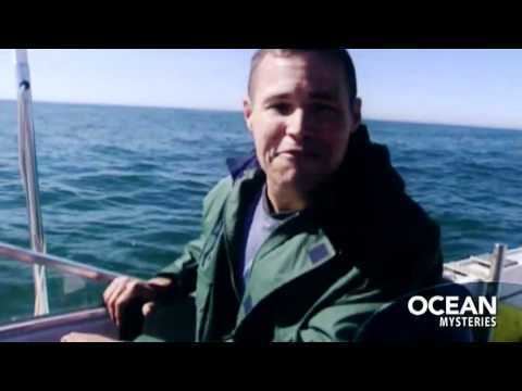 Ocean Mysteries with Jeff Corwin Ocean Mysteries with Jeff Corwin YouTube