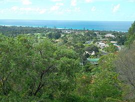 Ocean Shores, New South Wales httpsuploadwikimediaorgwikipediacommonsthu