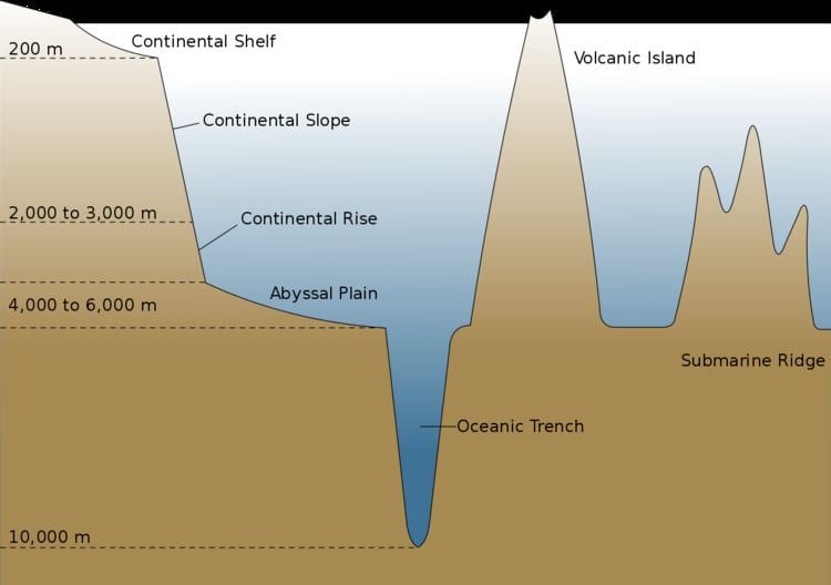 Oceanic basin