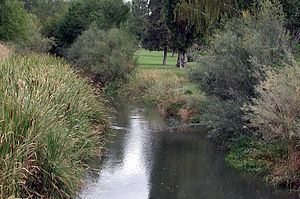 Ochoco Creek httpsuploadwikimediaorgwikipediacommonsthu