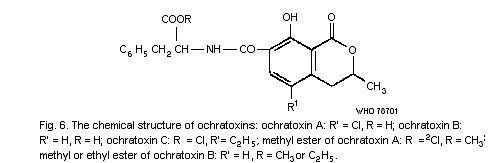 Ochratoxin FoodInfonet Overview of foodborne toxins Mycotoxins Ochratoxin