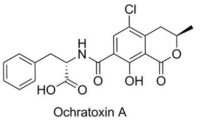 Ochratoxin A Ochratoxin A in wine EuroProxima EuroProxima