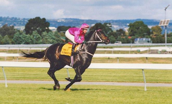 Octagonal (horse) History South Australian Jockey Club