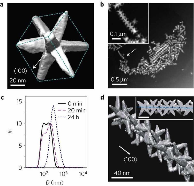 Octapod Formation of octapod chains in toluene Hierarchical selfassembly