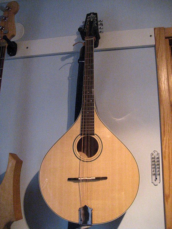 Octave mandolin