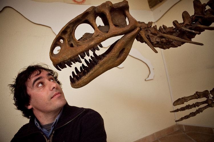Octávio Mateus Octvio Mateus primeiro portugus a escavar achados de dinossauros