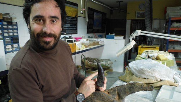 Octávio Mateus Lusodinos Dinossauros de Portugal Dinossauros colocam Lourinh na BBC