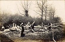 Odell Great Wood httpsuploadwikimediaorgwikipediacommonsthu