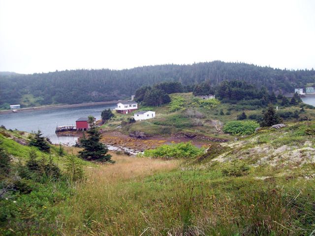 Oderin Island (Newfoundland and Labrador) gregpikecawpcontentuploads200908oderinrema