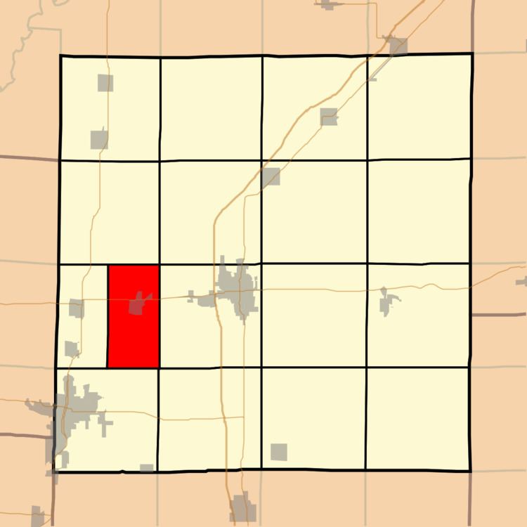 Odin Township, Marion County, Illinois