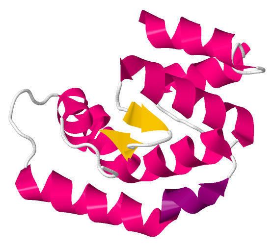 Odorant-binding protein