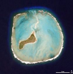 Oeno Island httpsuploadwikimediaorgwikipediacommonsthu