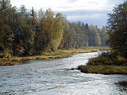 Ogre (river) httpsuploadwikimediaorgwikipediacommonsthu