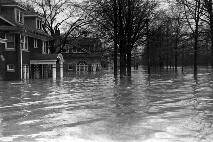 Ohio River flood of 1937 old film amp pictures The Ohio River Flood of 1937 surpassed all