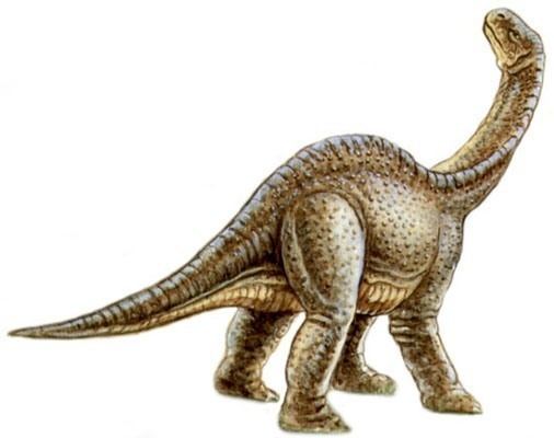 Ohmdenosaurus imagesdinosaurpicturesorgohmdenosaurus250d2jpg