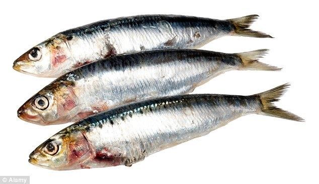 Oily fish Oily fish 39can fight deafness in elderly39 Daily Mail Online