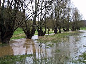 Oison (river) httpsuploadwikimediaorgwikipediacommonsthu
