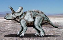 Ojoceratops httpsuploadwikimediaorgwikipediacommonsthu