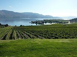 Okanagan Valley (wine region) httpsuploadwikimediaorgwikipediacommonsthu