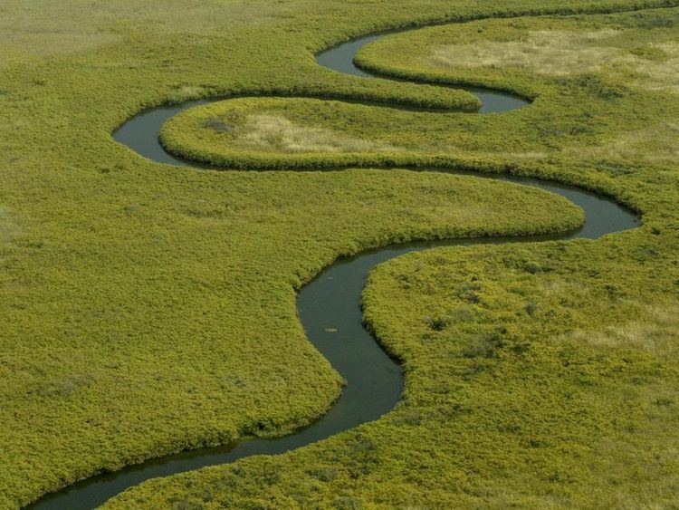 Okavango River allafricafactscomwpcontentuploads201408okav