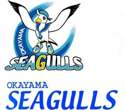 Okayama Seagulls WorldofVolley JPN W Seagulls wins deciding match in finals to
