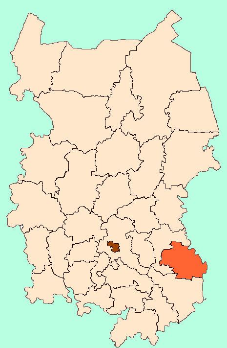 Okoneshnikovsky District