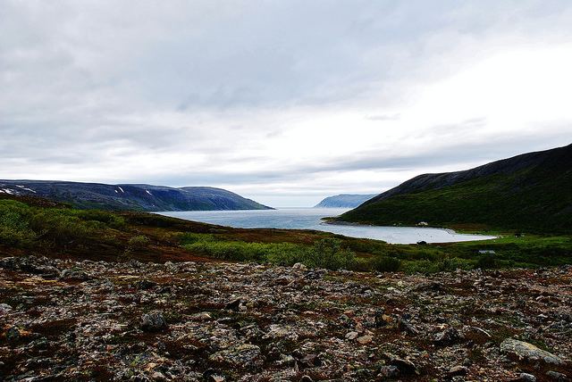 Oksefjorden (Finnmark)